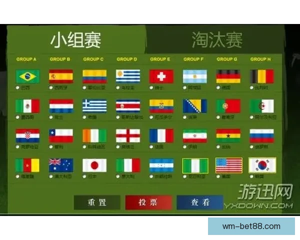 世界杯竞猜胜负技巧：提高预测准确率的实用策略与分析方法